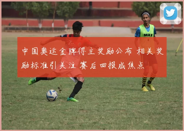 中国奥运金牌得主奖励公布 相关奖励标准引关注 赛后回报成焦点